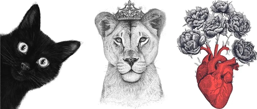 Valeriya 黑猫、母狮女王等插画